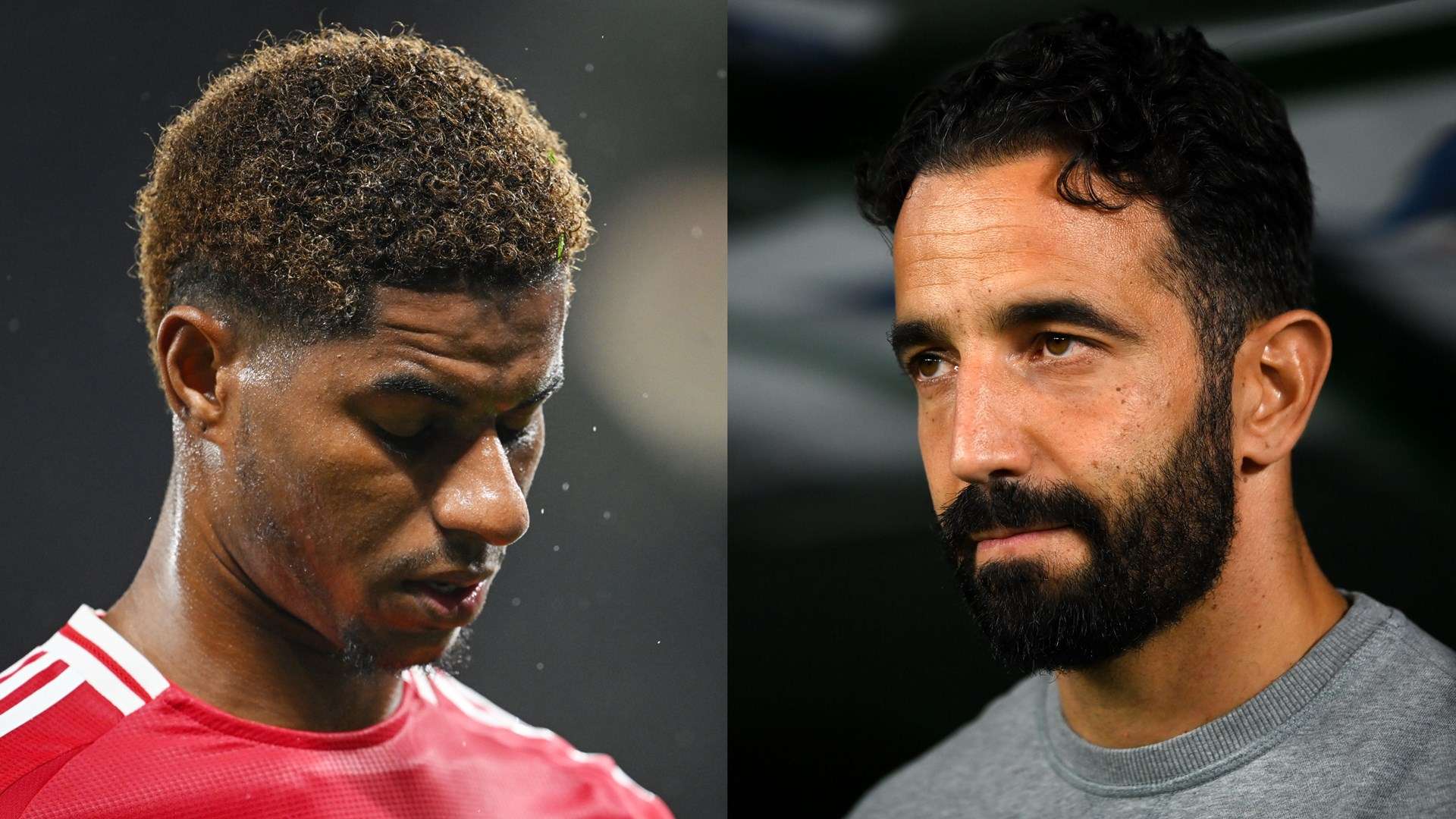 馬競成功捧 馬競成功捧