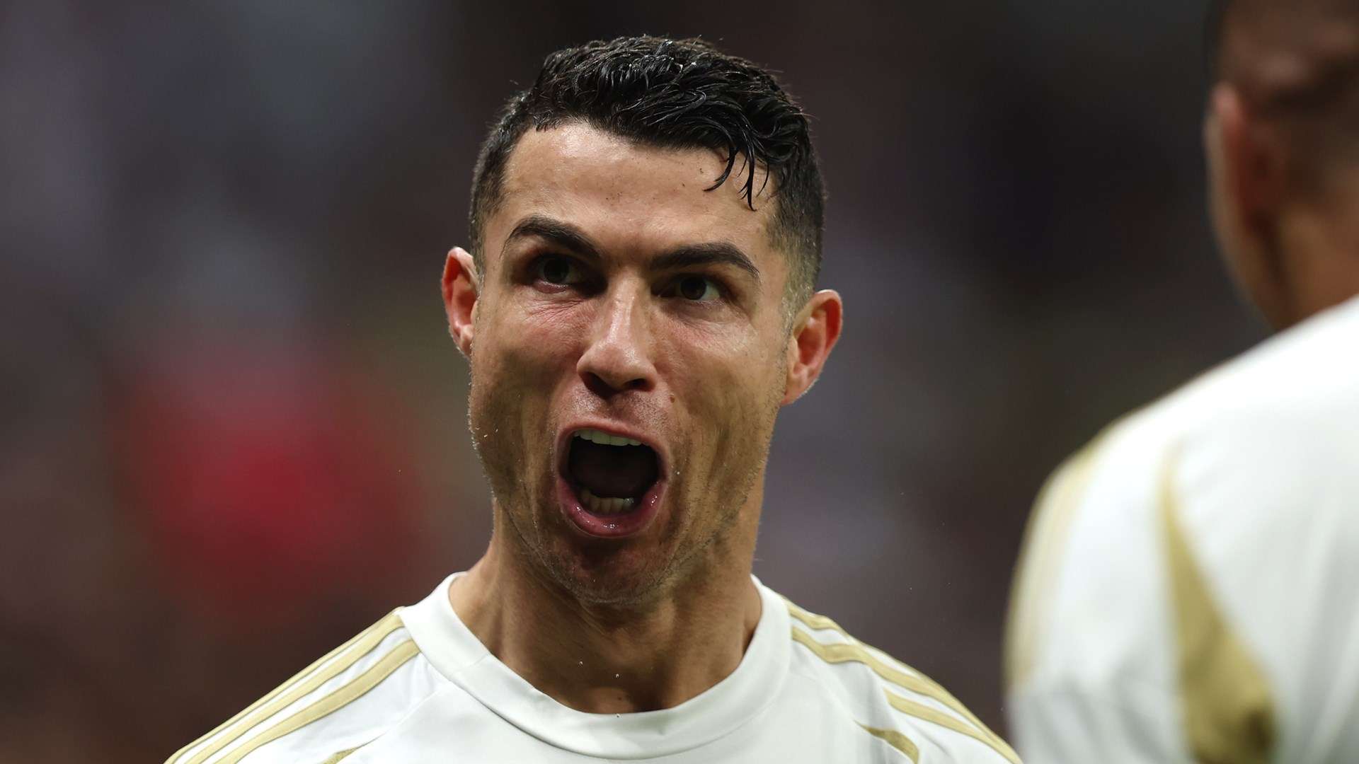 球迷关注的 球迷关注的